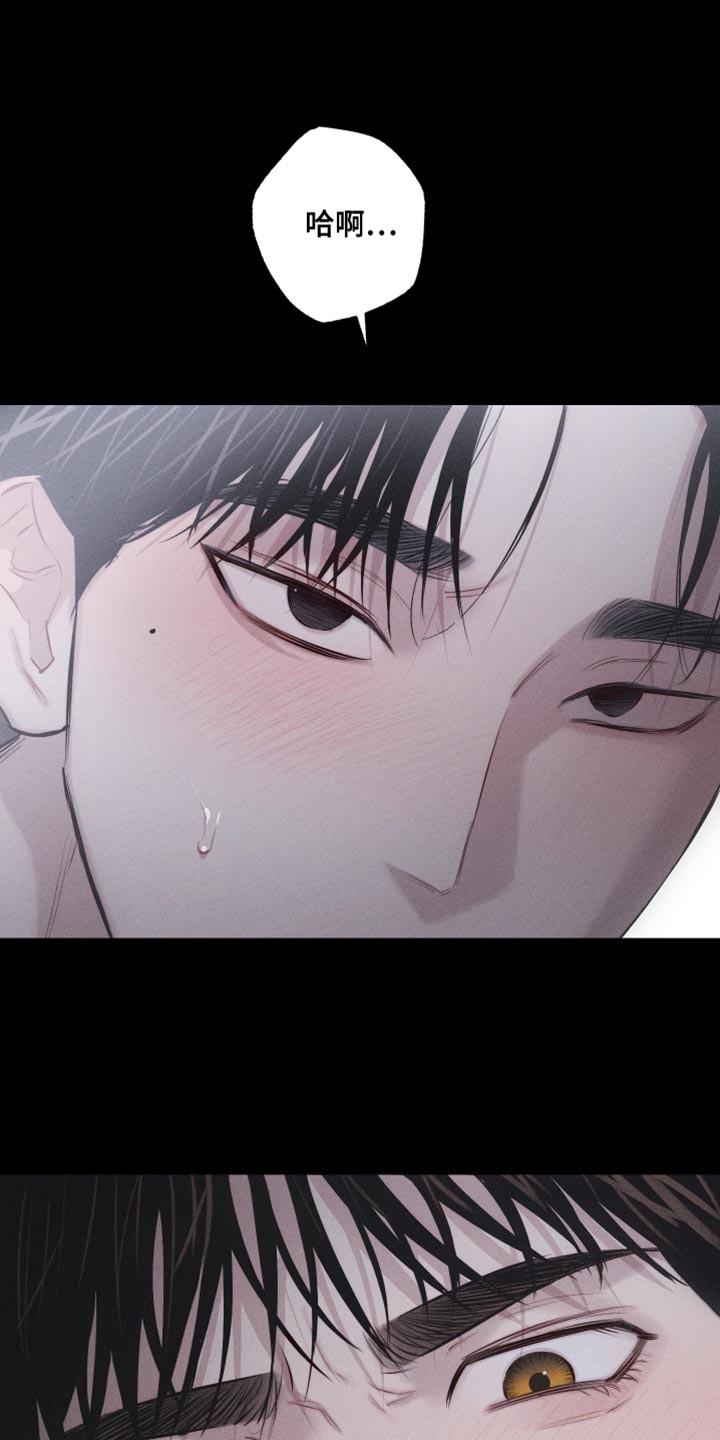 第15章：想法6