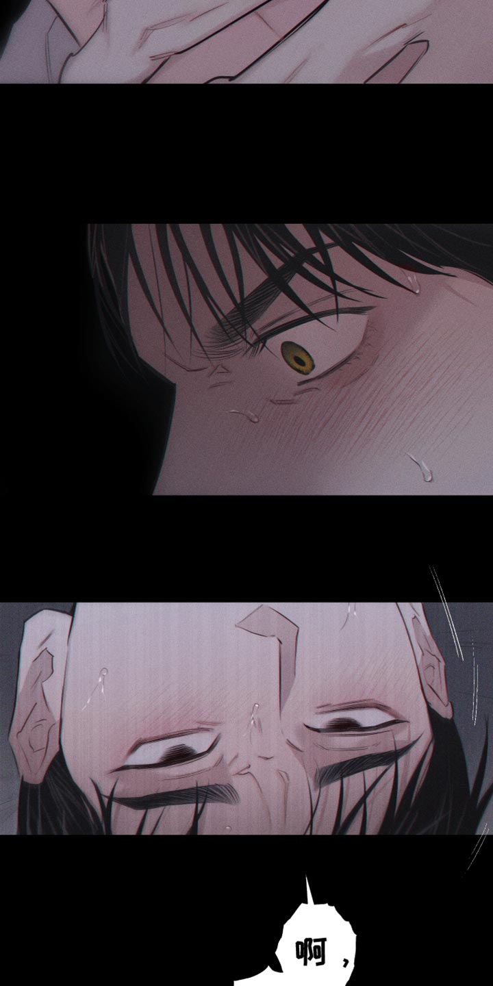 第17章：我更想要17
