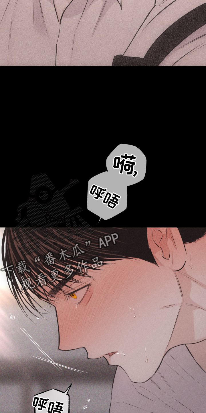 第50章：信号11