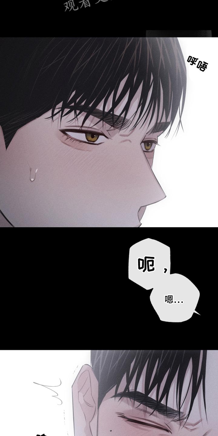 第16章：特殊形态7