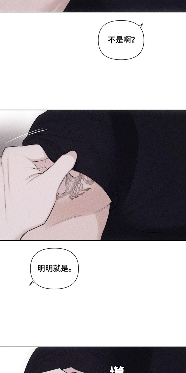 第32章：纹身22