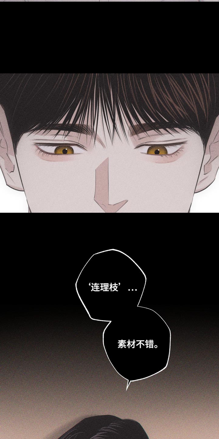 第33章：想见他8