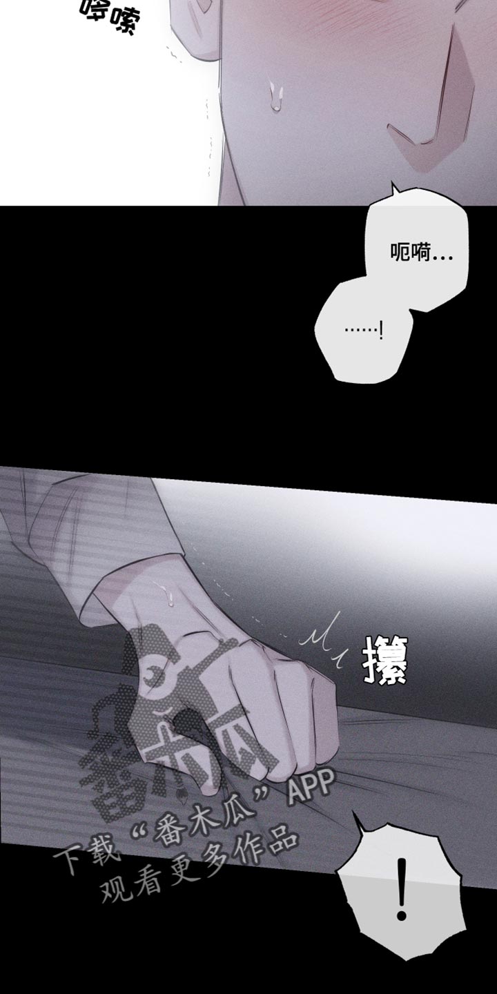 第16章：特殊形态8