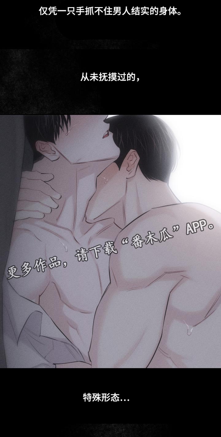 第16章：特殊形态14