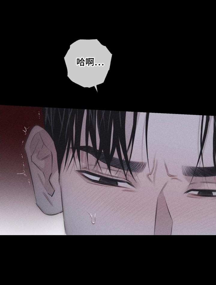 第16章：特殊形态9