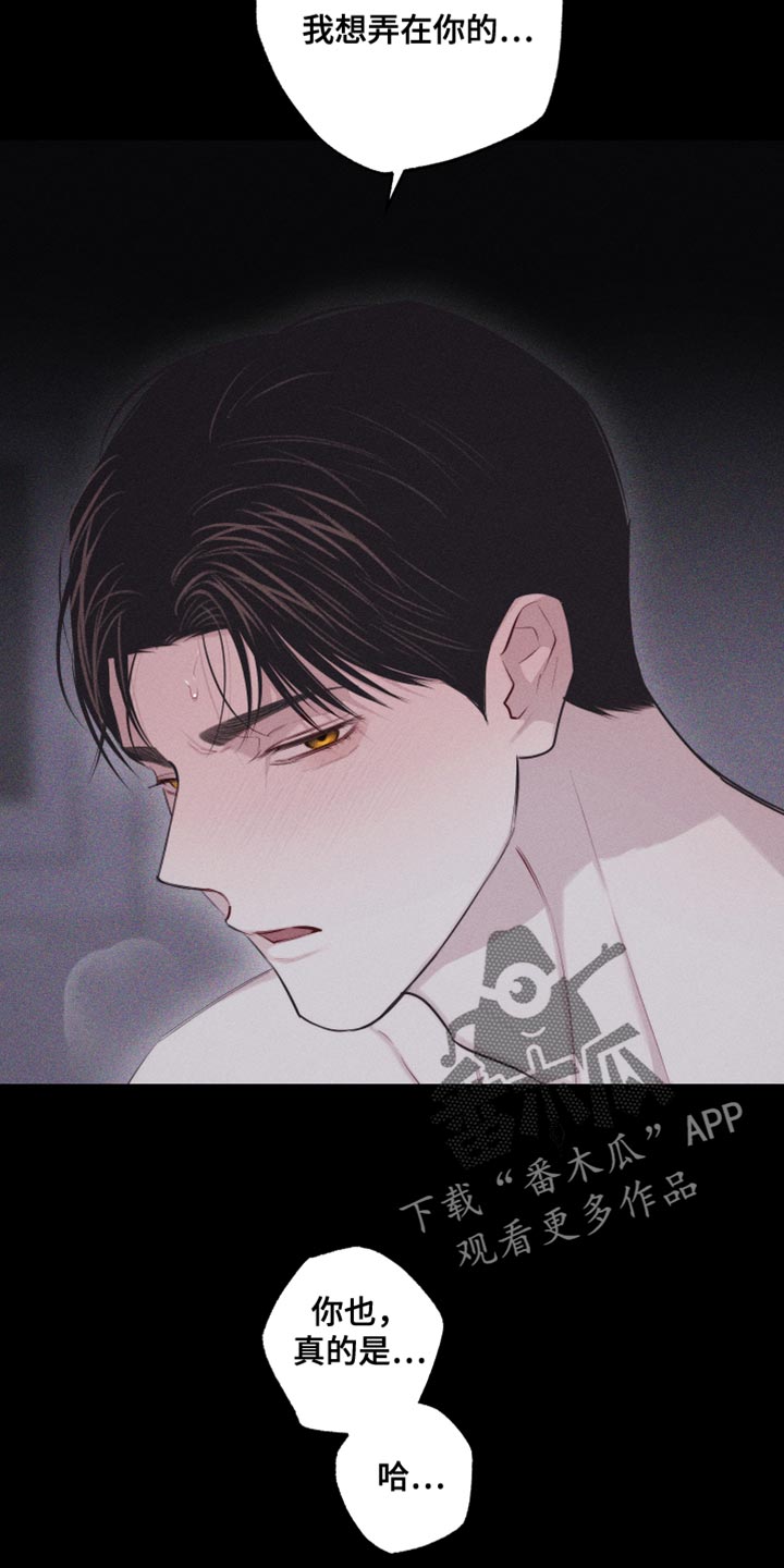 第38章：想象6