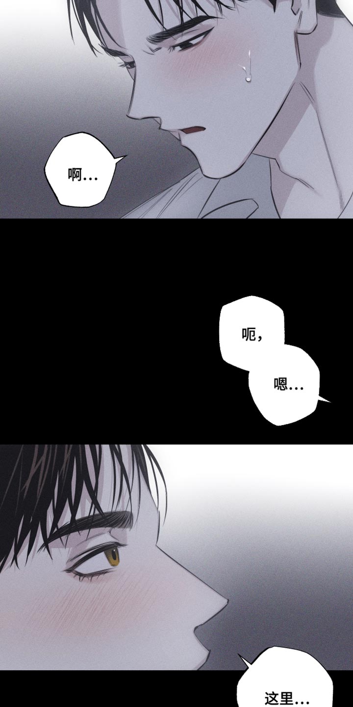 第16章：特殊形态5