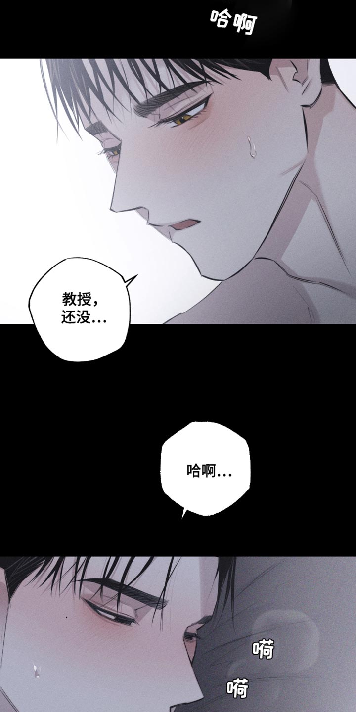 第17章：我更想要3
