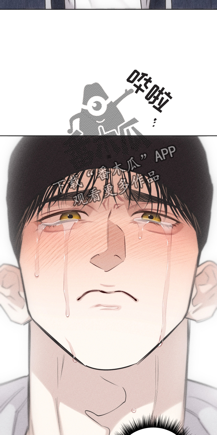 第46章：安排1
