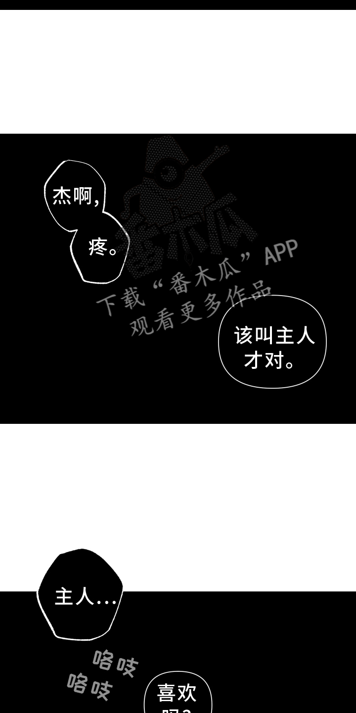 第45章：质疑31