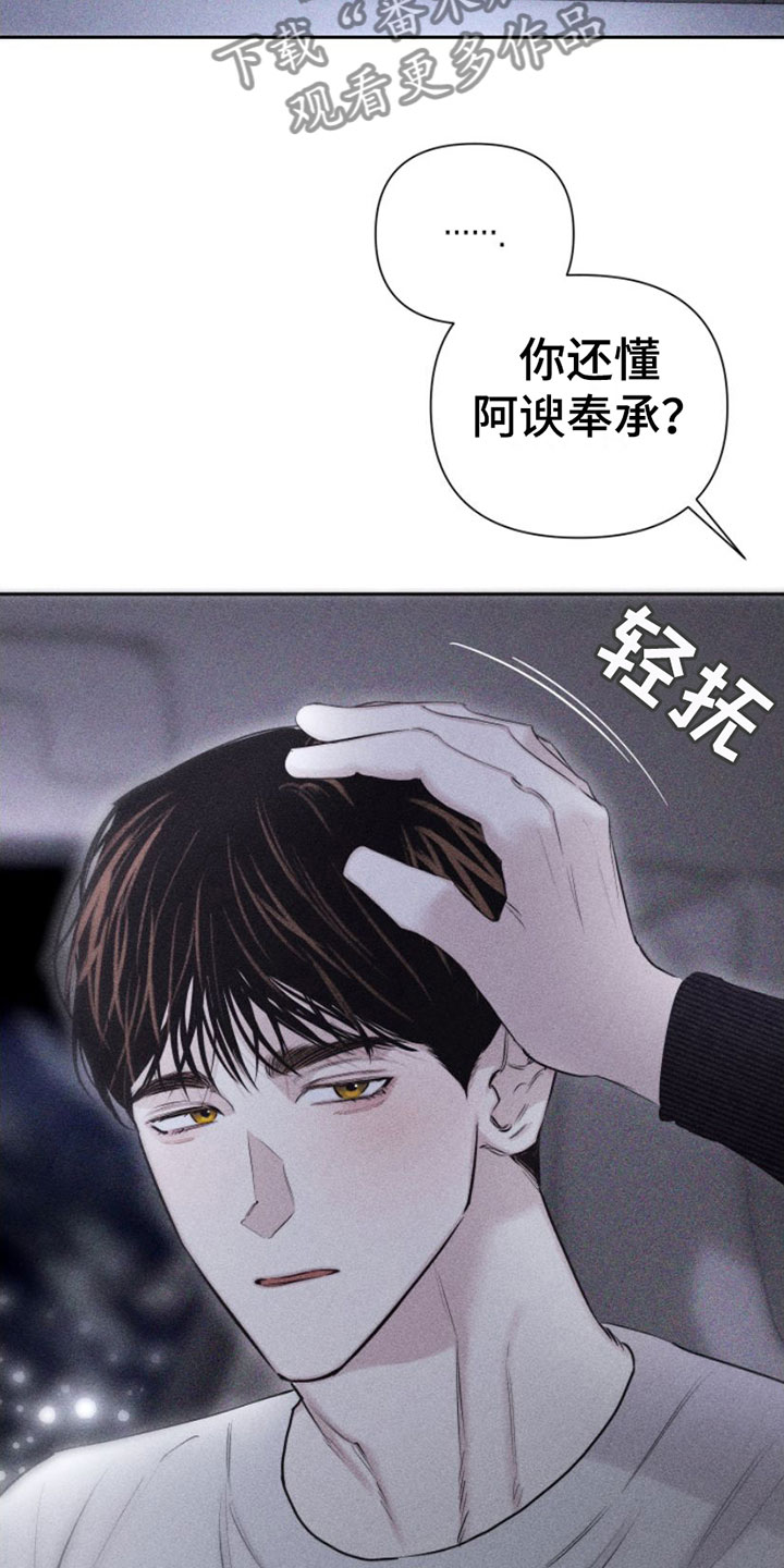 第6章：车里11