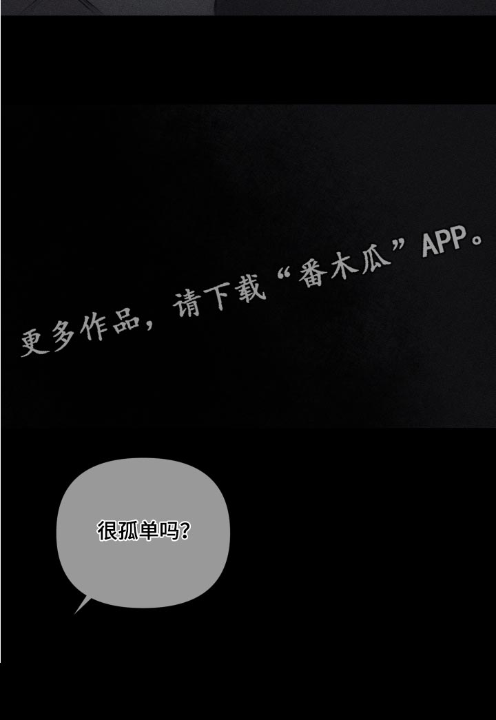 第13章：很孤单吗24