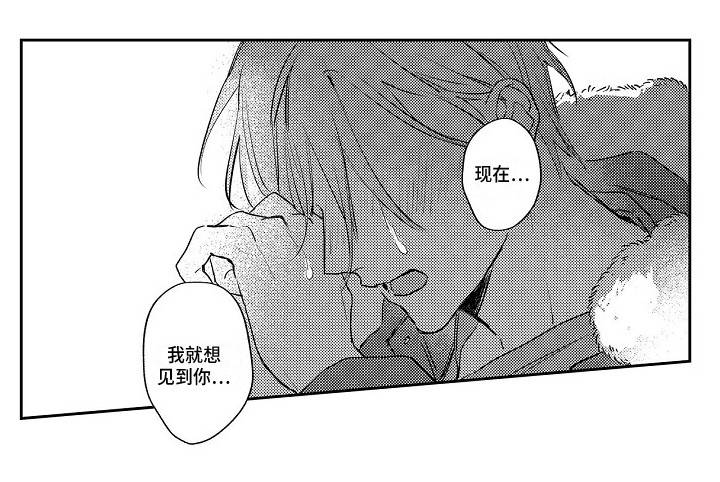 第19章：摊牌13
