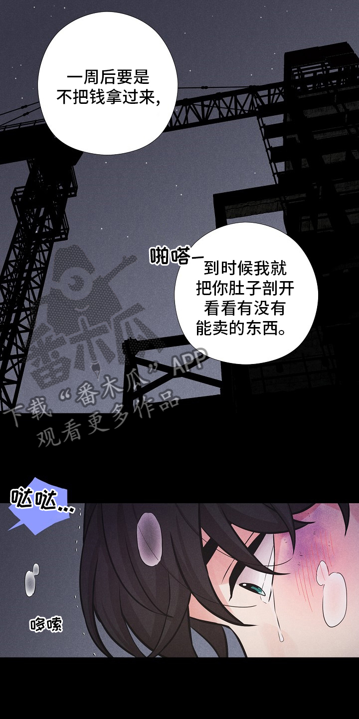 第21章：躲起来1