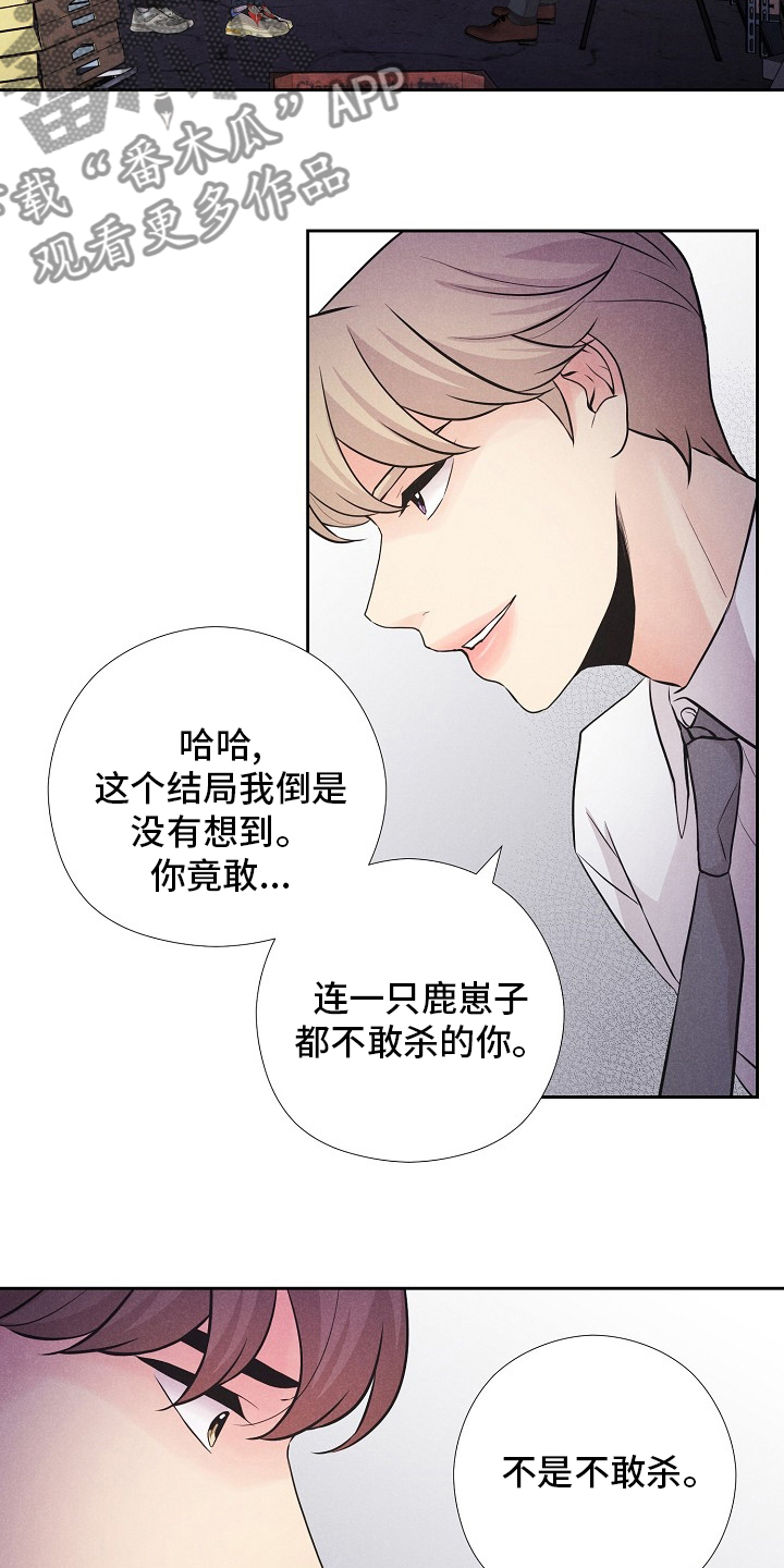 第41章：计划4