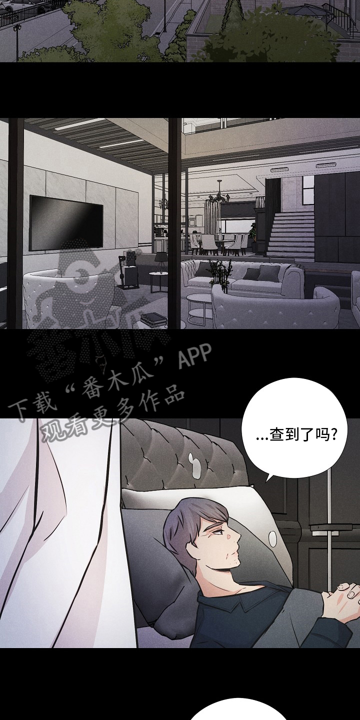 第17章：好奇心害死猫5