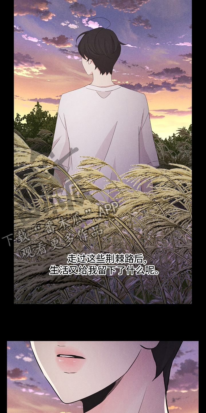 第19章：飞机6
