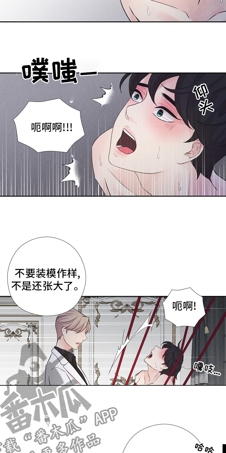 第19章：飞机1