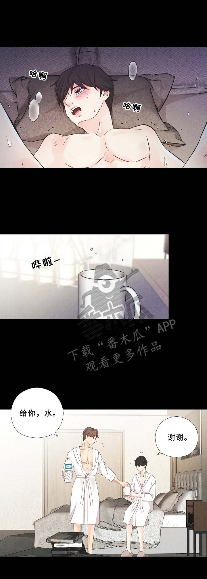 第13章：定义6