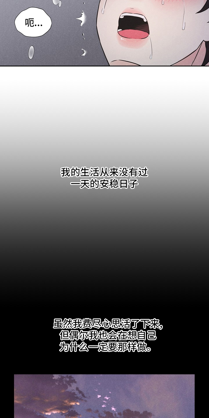第19章：飞机5
