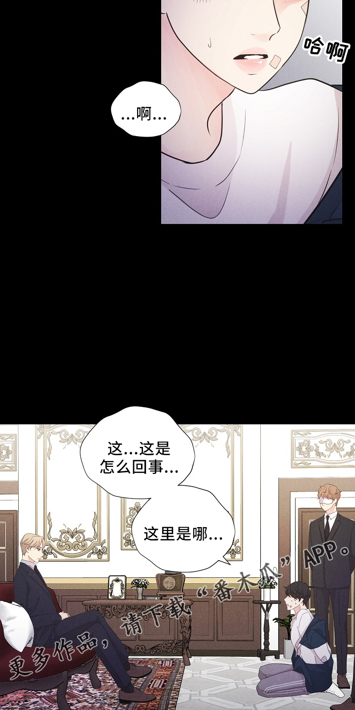 第46章：我答应（番外）10