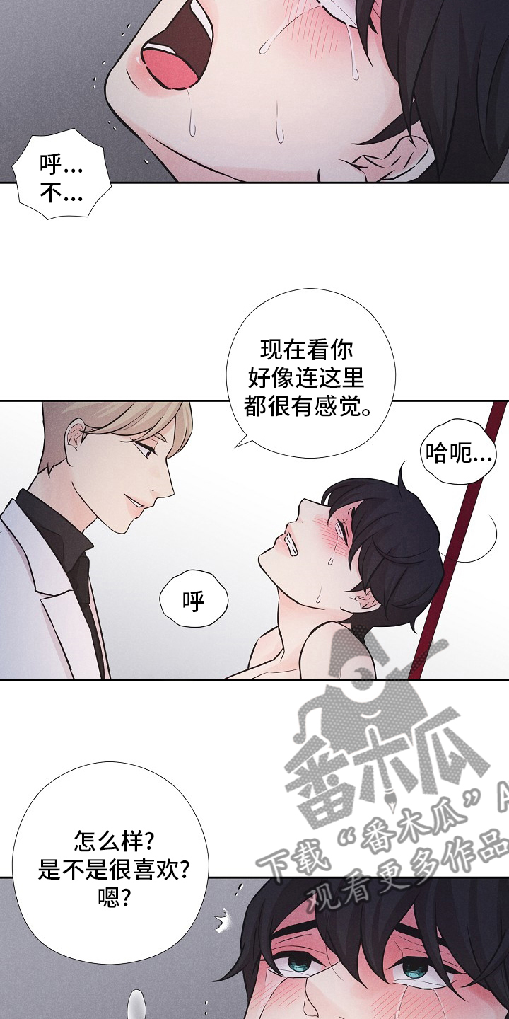 第19章：飞机4