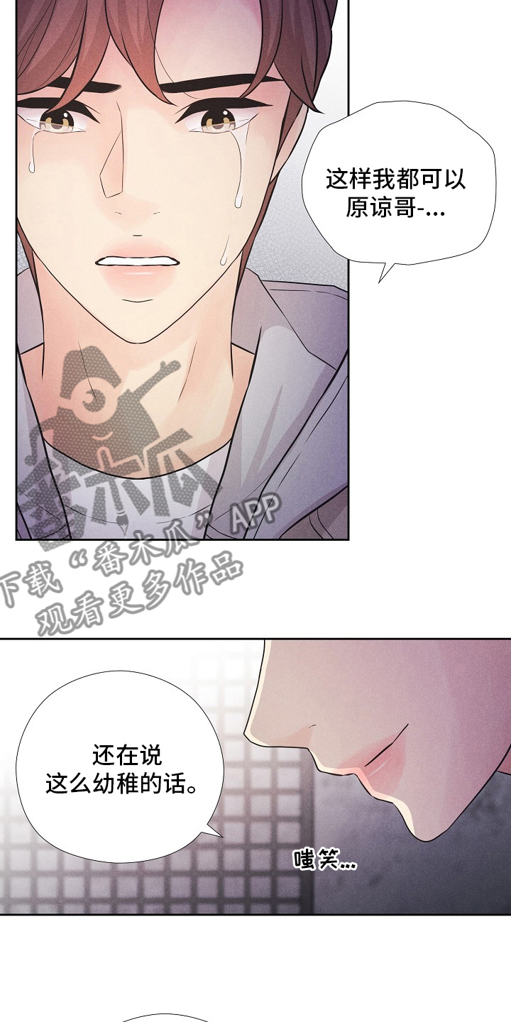 第41章：计划7