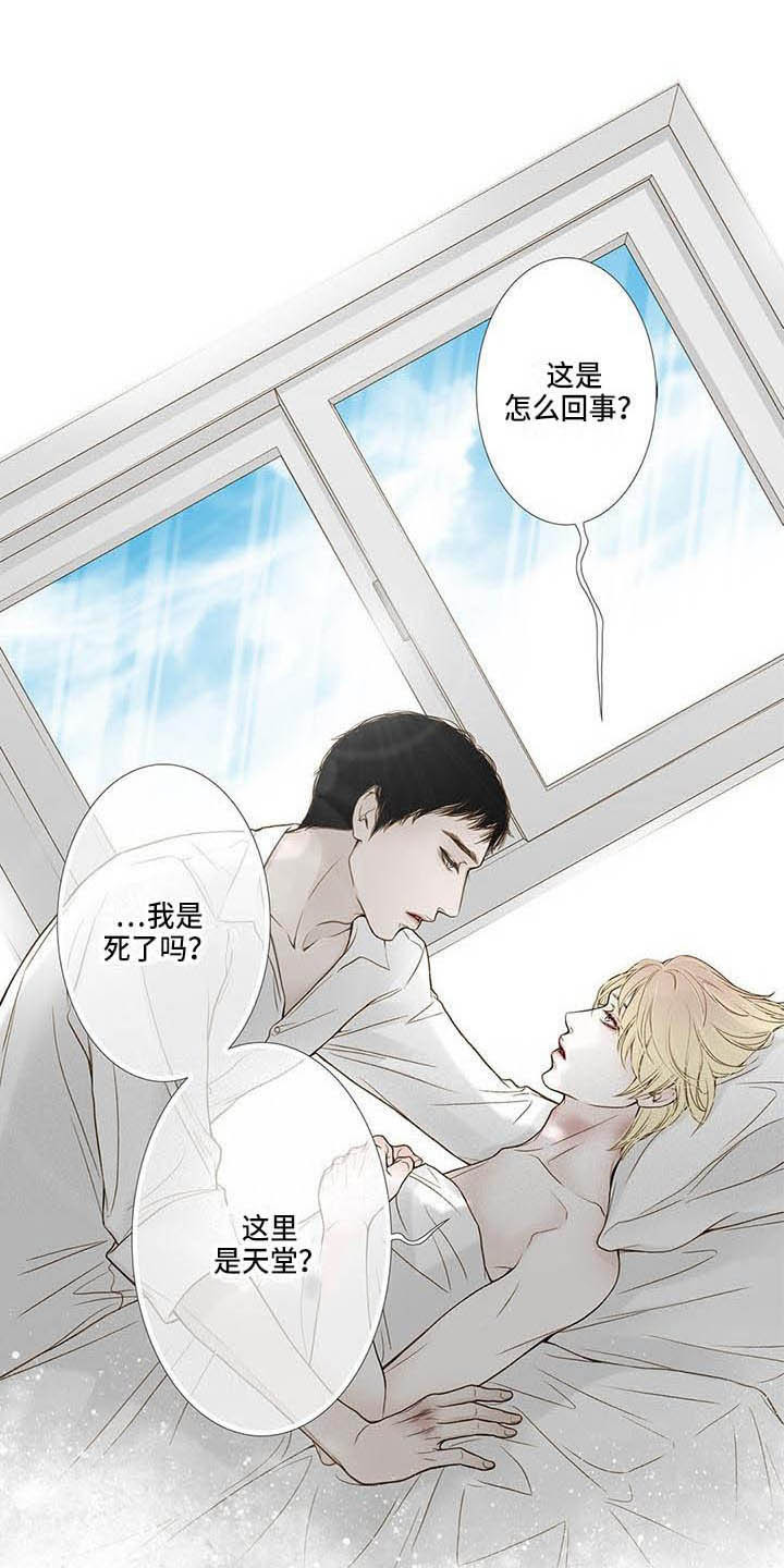 第19章：照顾0