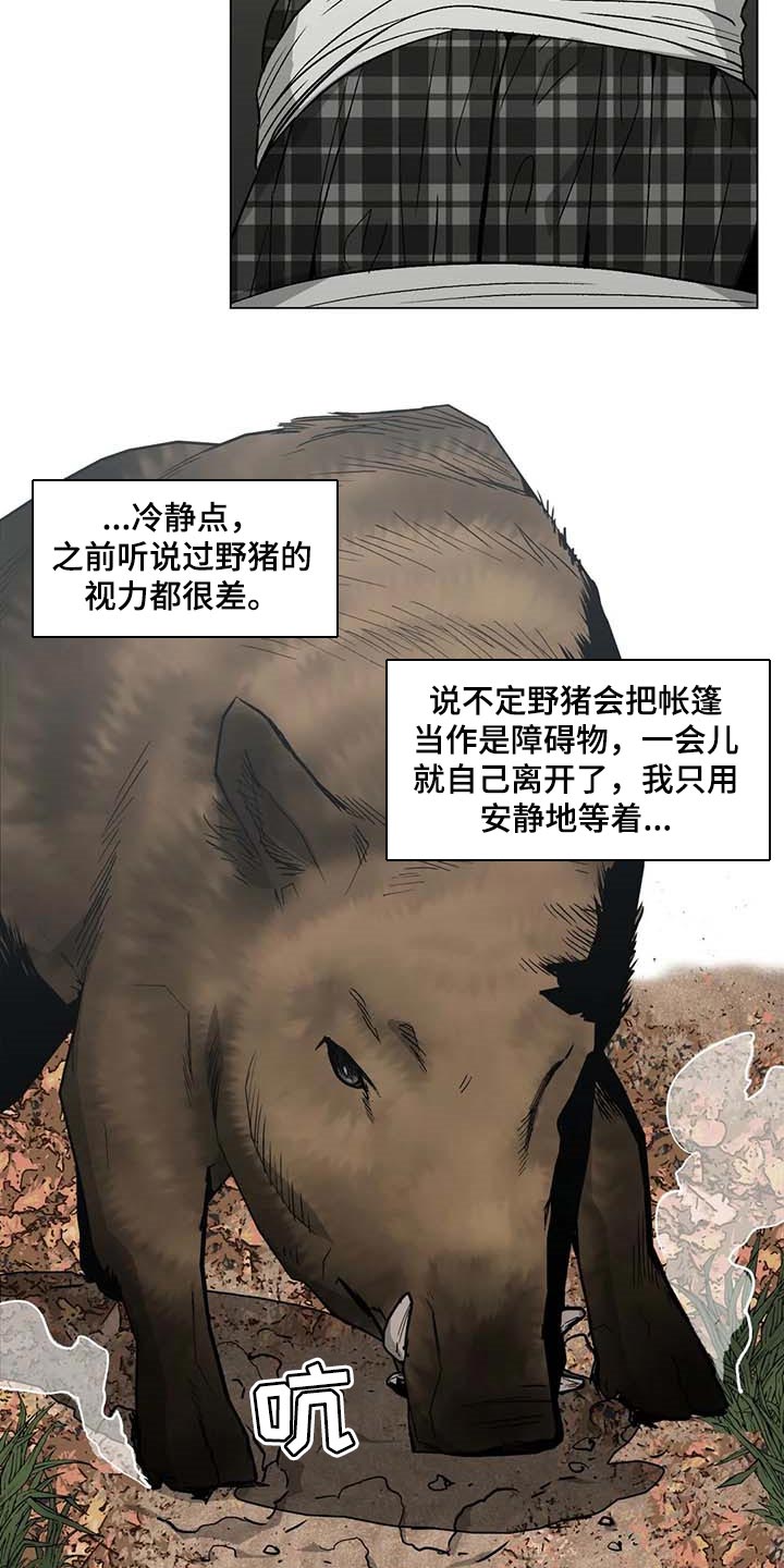 第36章：野猪的痕迹18