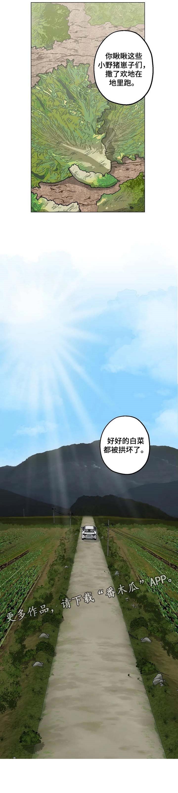 第29章：开始动摇了6