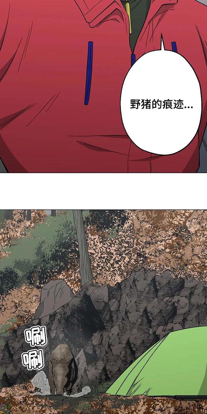 第36章：野猪的痕迹16
