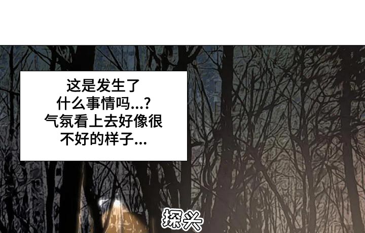 第55章：看谁赢到最后吧12