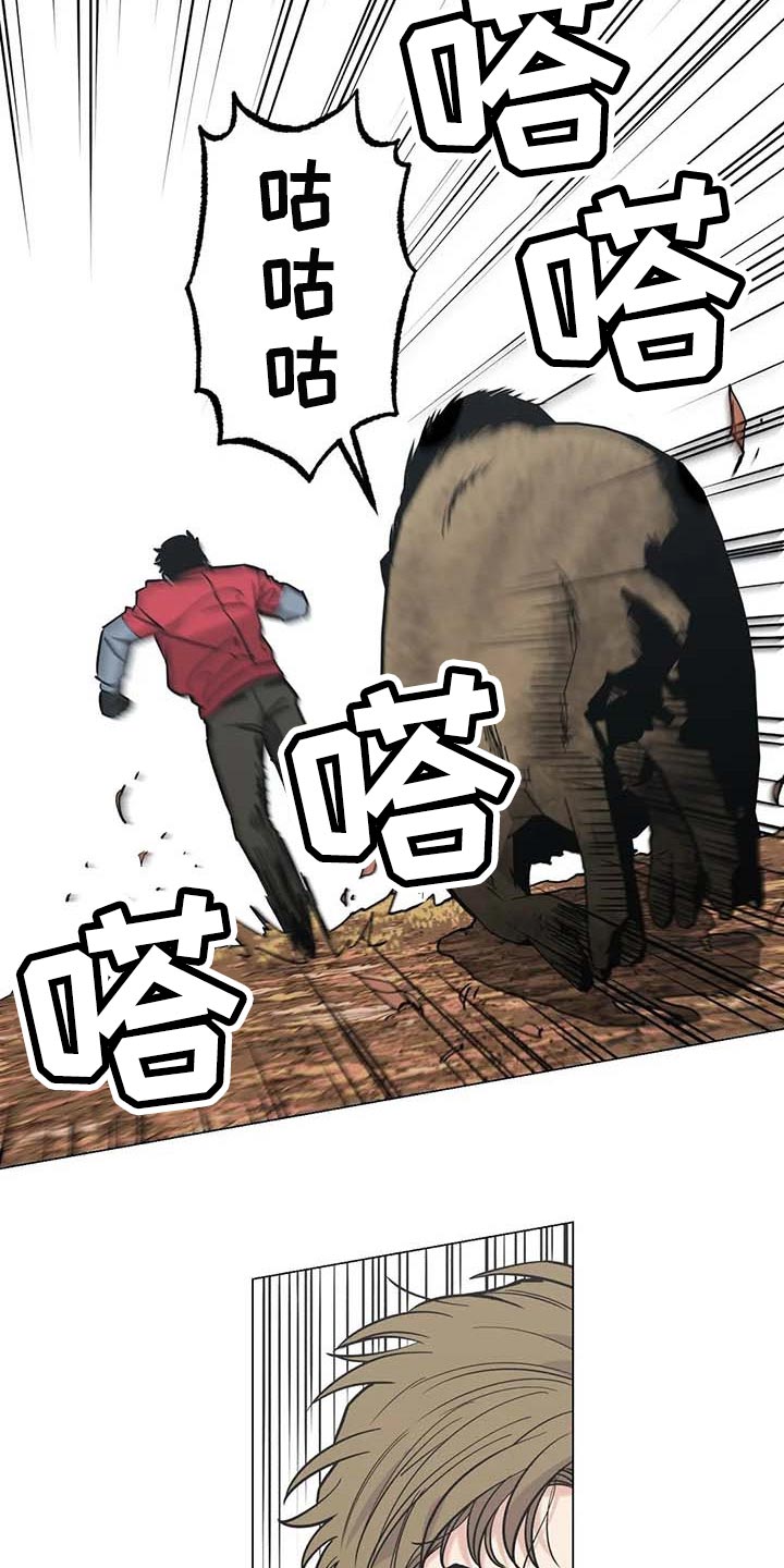 第37章：又多了一只11