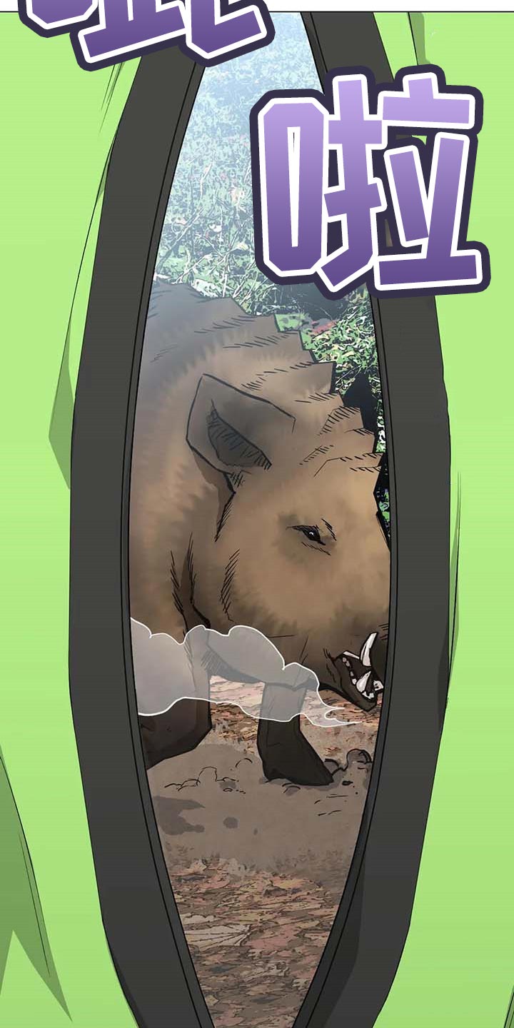 第35章：野猪19