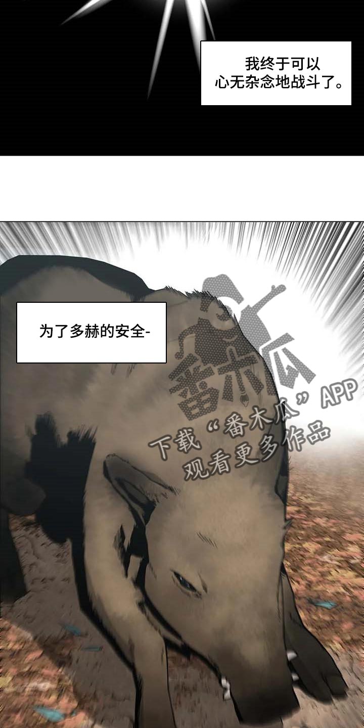 第37章：又多了一只4