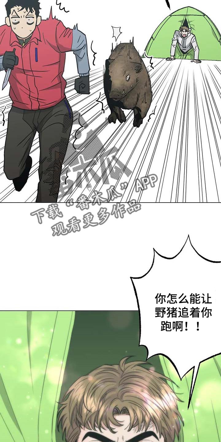 第37章：又多了一只13