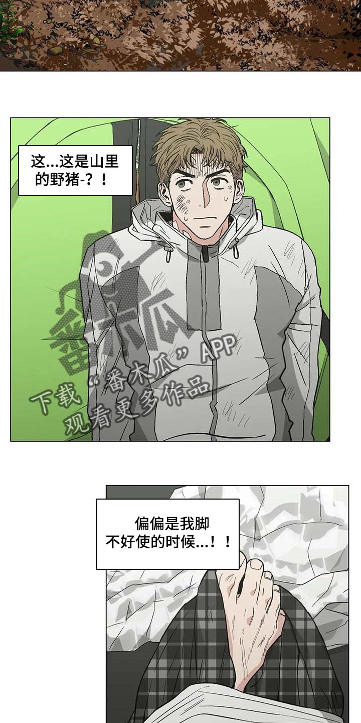 第36章：野猪的痕迹17