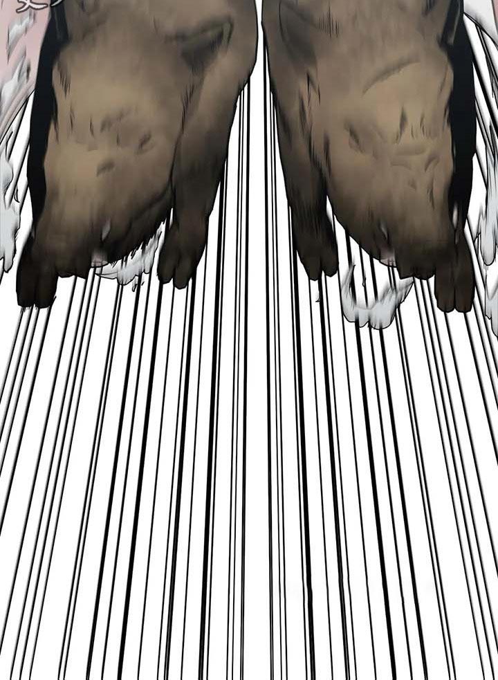 第37章：又多了一只24