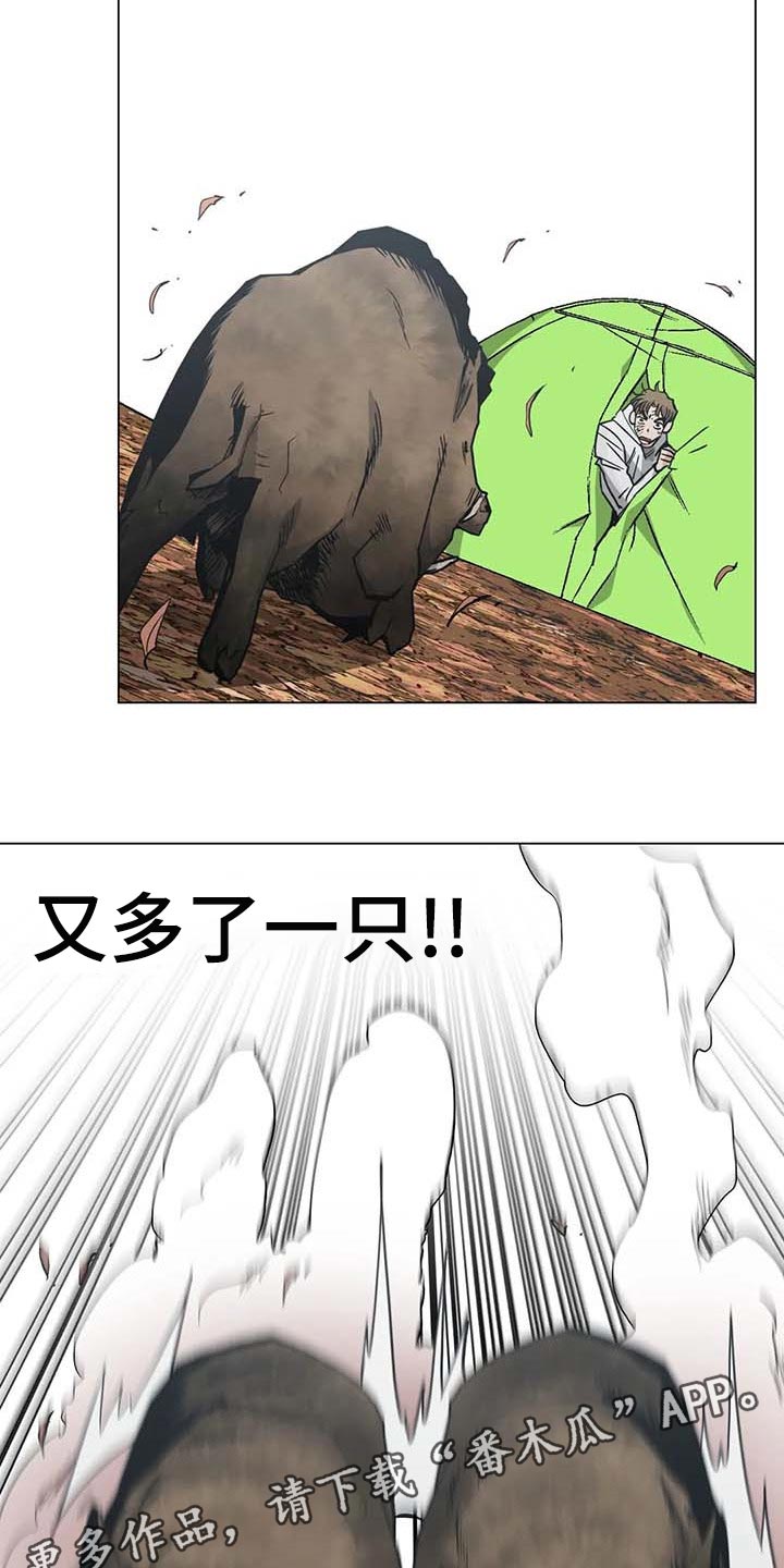 第37章：又多了一只23