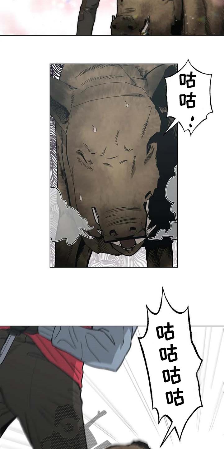 第37章：又多了一只15