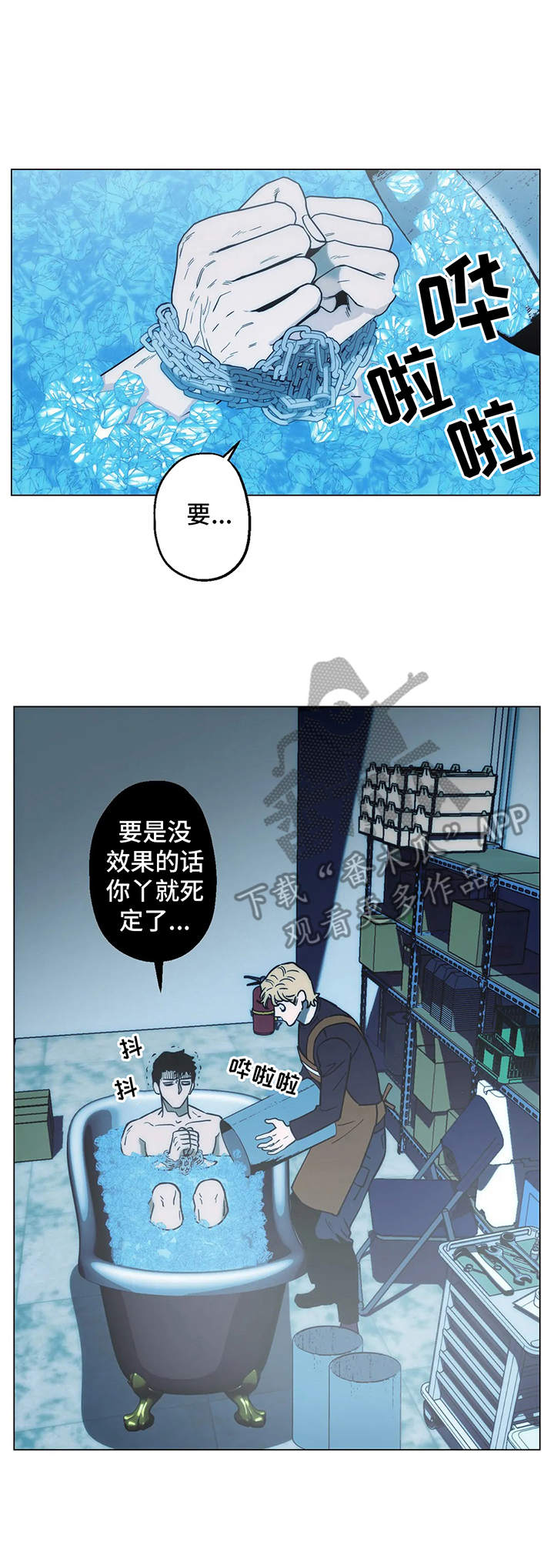 第11章：实验3