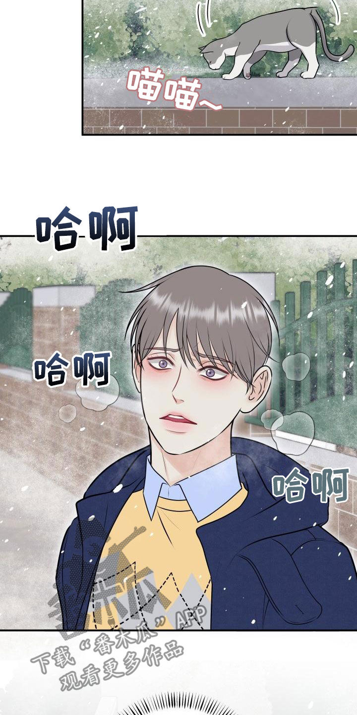 第102章：【第二季】我们分手吧22