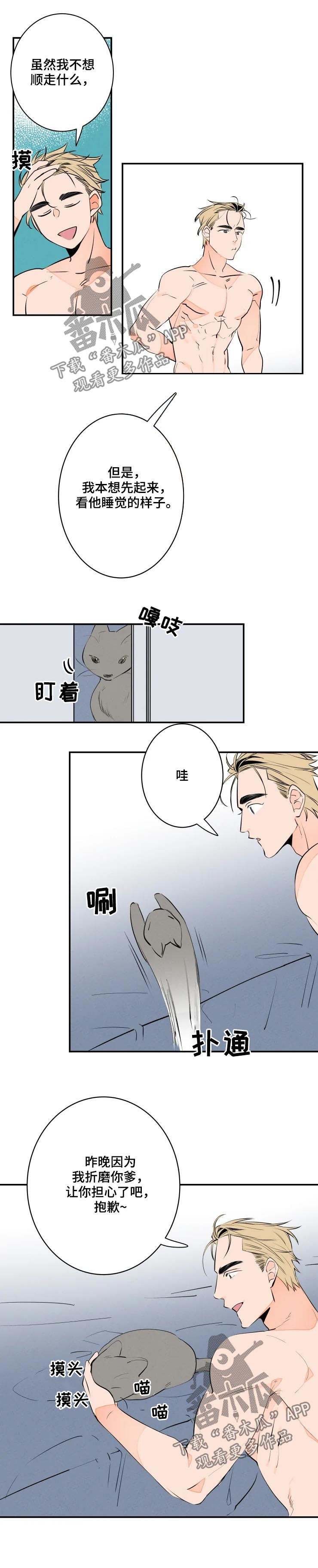 第63章：可爱8