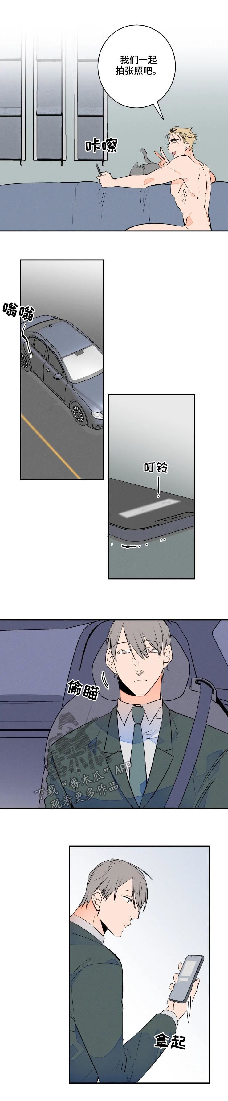 第63章：可爱9