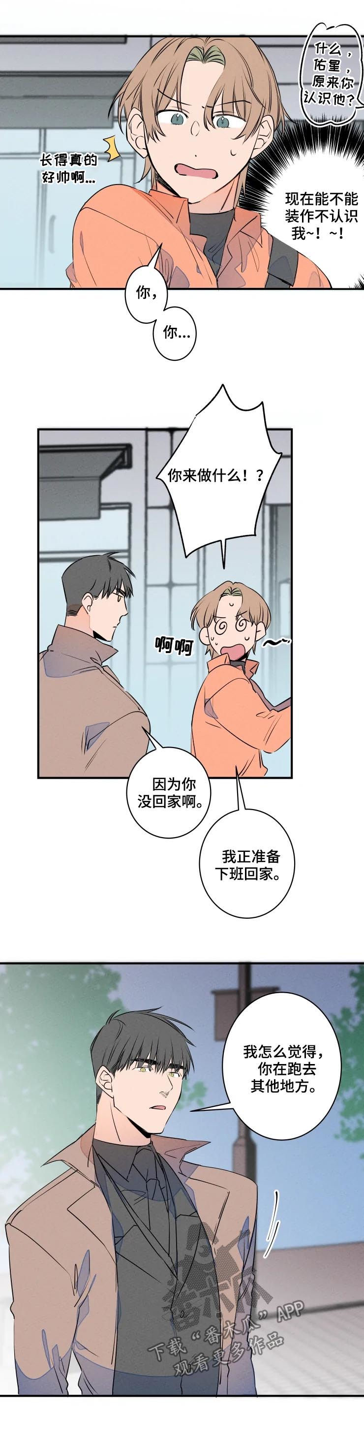 第67章：聚餐1