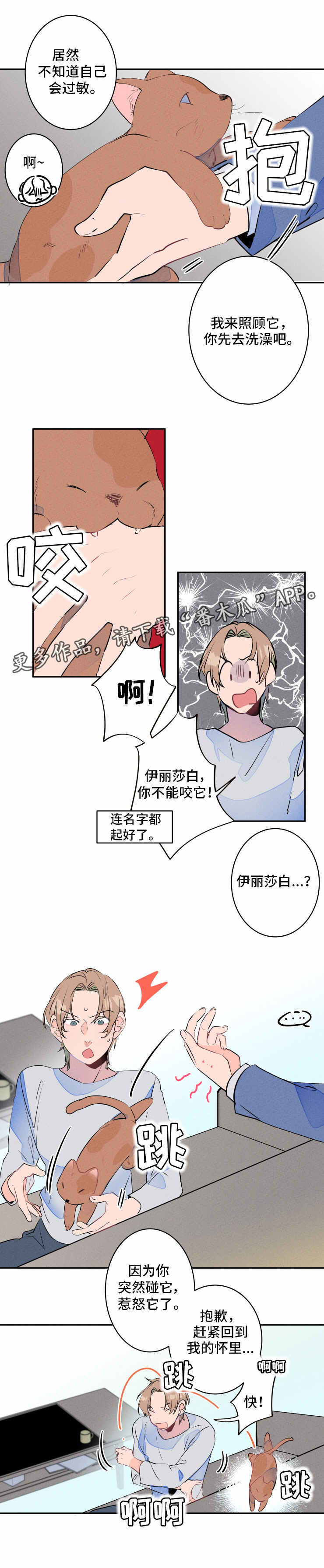 第13章：过敏6