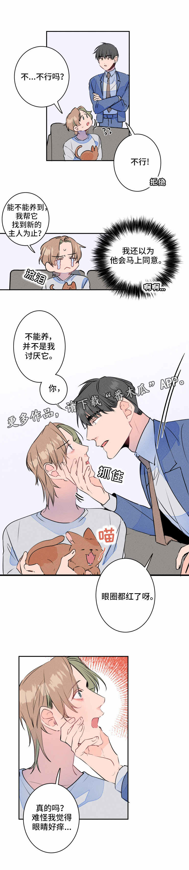 第13章：过敏5
