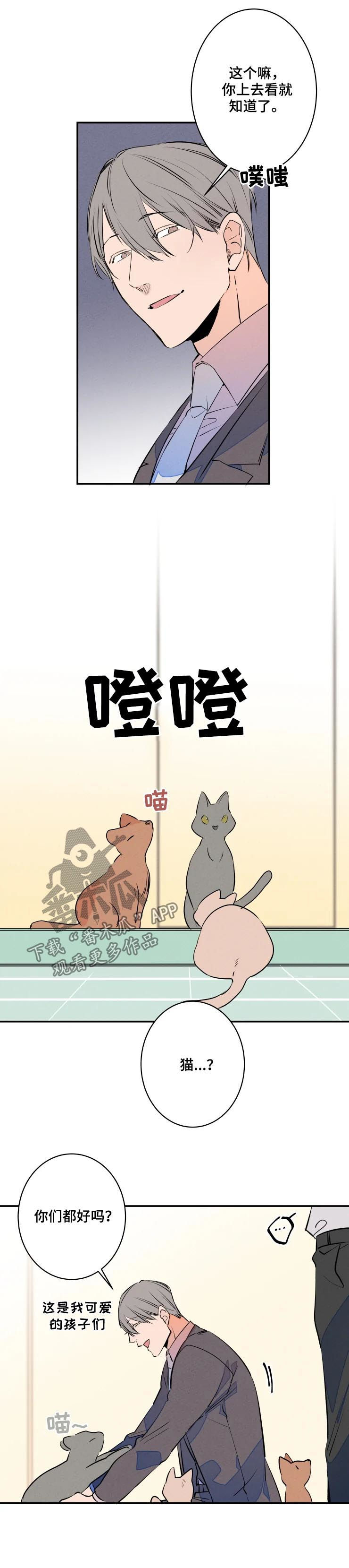 第61章：有妇之夫5