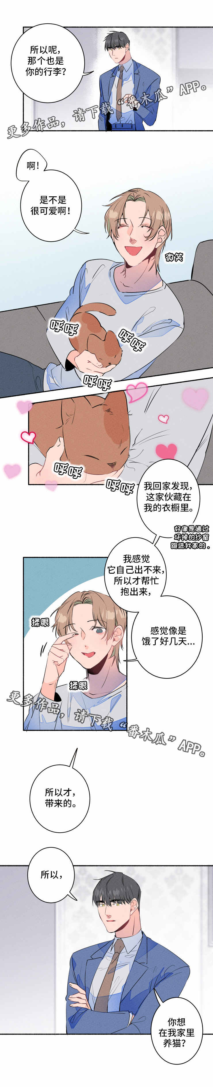 第13章：过敏4