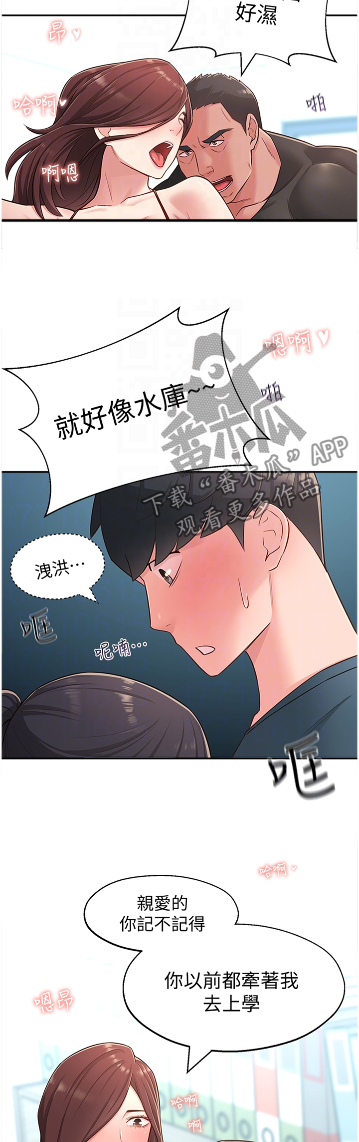 第34章：正常反应9